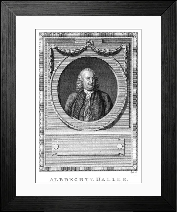 Framed Print : Albrecht von Haller, Swiss physician and scientist, c1770 (c1780) Framed Print : Albrecht von Haller, Swiss physician and scientist, c1770 (c1780)