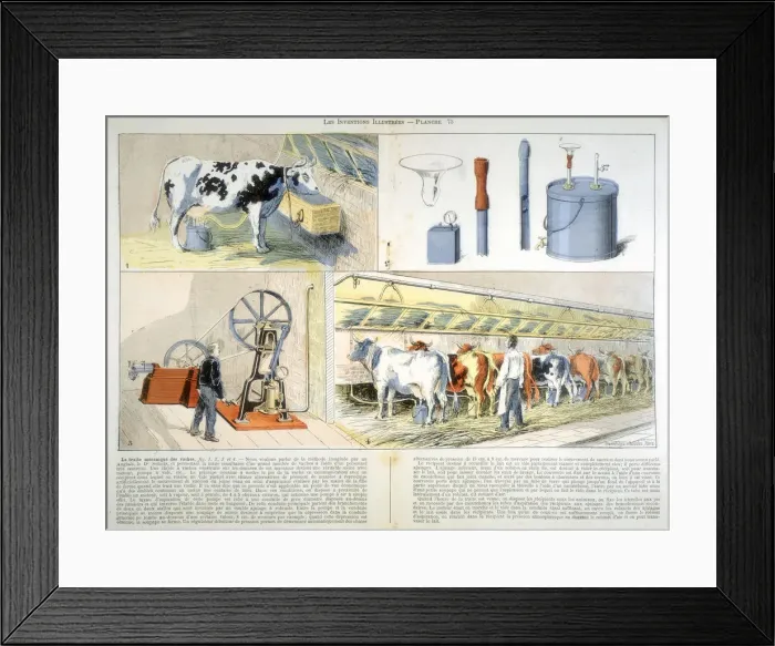 Framed Print : Milking parlour equipped with Thistle suction and pulsation milking machine, 1899 Framed Print : Milking parlour equipped with Thistle suction and pulsation milking machine, 1899