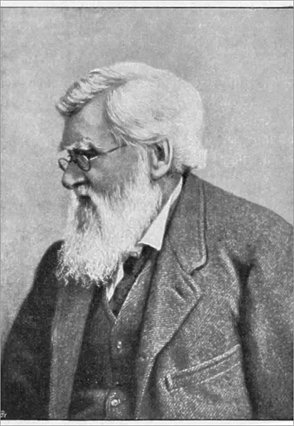 Alfred Russell Wallace, Welsh naturalist, c1895