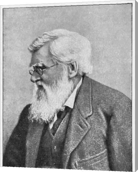 Alfred Russell Wallace, Welsh naturalist, c1895