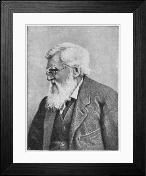 Framed Print : Alfred Russell Wallace, Welsh naturalist, c1895
