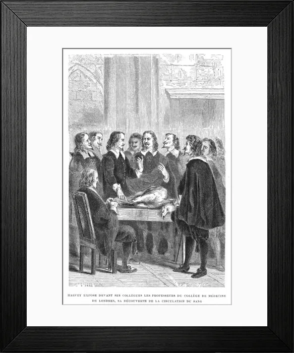 Framed Print : Harvey demonstrating circulation of the blood to the College of Physicians, c1628 (1870) Framed Print : Harvey demonstrating circulation of the blood to the College of Physicians, c1628 (1870)