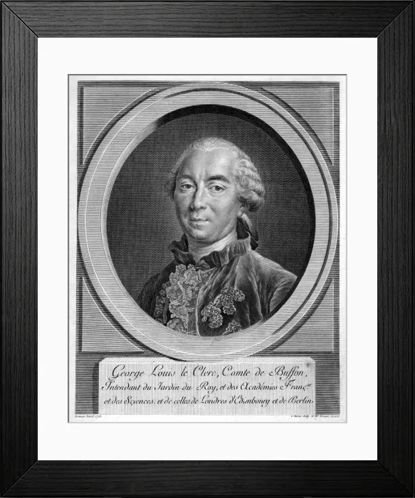 Framed Print : Georges-Louis Leclerc, Comte du Buffon, French naturalist, 1761 Framed Print : Georges-Louis Leclerc, Comte du Buffon, French naturalist, 1761