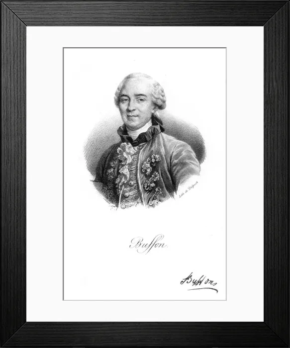 Framed Print : Georges-Louis Leclerc, Comte du Buffon, 18th century French naturalist, c1830. Artist: Delpech Framed Print : Georges-Louis Leclerc, Comte du Buffon, 18th century French naturalist, c1830. Artist: Delpech
