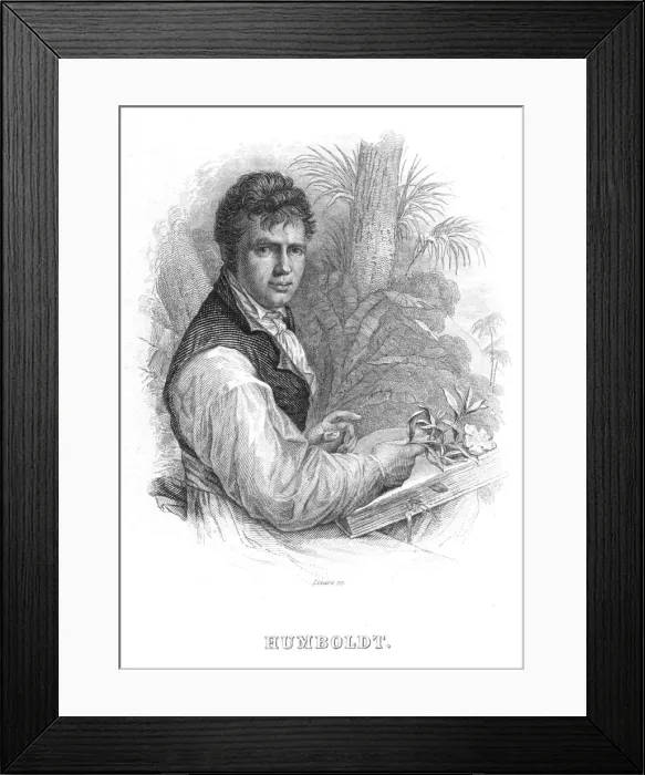 Framed Print : Alexander von Humboldt, German naturalist, c1830. Artist: William Home Lizars Framed Print : Alexander von Humboldt, German naturalist, c1830. Artist: William Home Lizars
