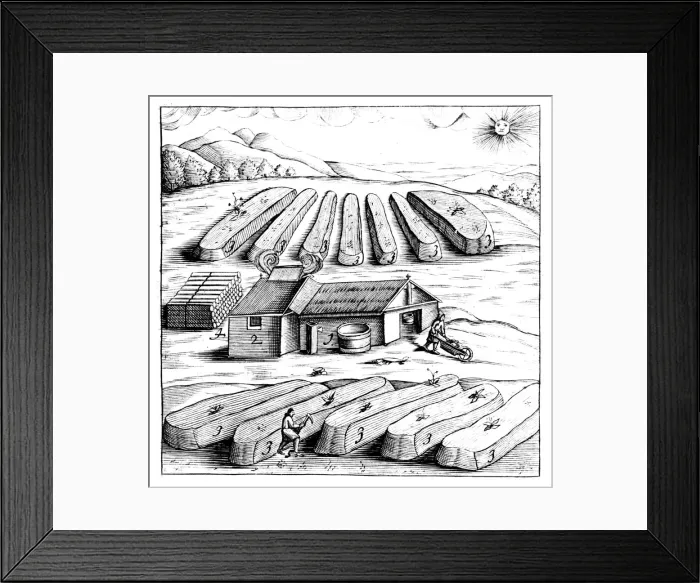 Framed Print : Production of saltpetre (nitre, potassium nitrate, or KN03), 1683 Framed Print : Production of saltpetre (nitre, potassium nitrate, or KN03), 1683