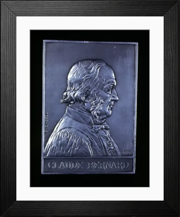 Framed Print : Claude Bernard, 19th century French physiologist, 1913 Framed Print : Claude Bernard, 19th century French physiologist, 1913