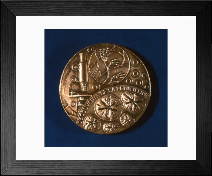 Framed Print : Medal commemorating the discovery of penicillin, 1945 Framed Print : Medal commemorating the discovery of penicillin, 1945