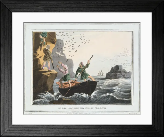 Framed Print : Bird Catching from Below, Shetland Islands, 1813 Framed Print : Bird Catching from Below, Shetland Islands, 1813