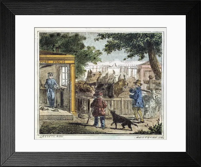 Framed Print : Public weighbridge used to weigh cattle in a market, 1867 Framed Print : Public weighbridge used to weigh cattle in a market, 1867