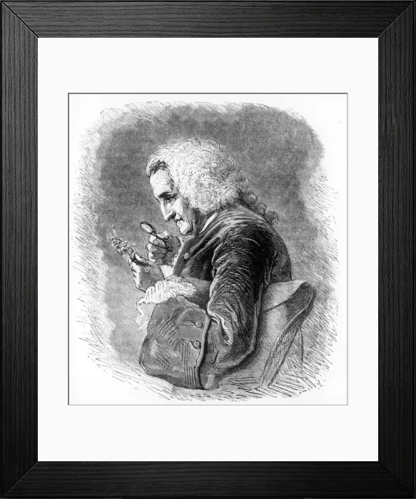 Framed Print : Bernard de Jussieu, 18th century French botanist, 1880 Framed Print : Bernard de Jussieu, 18th century French botanist, 1880