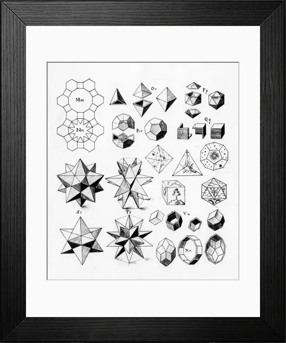 Framed Print : Regular geometrical solids of various types, 1619