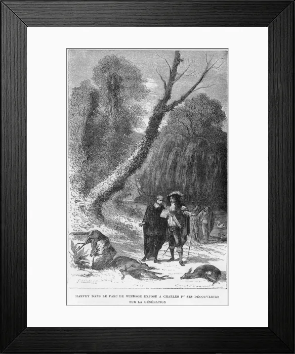 Framed Print : William Harvey, English physician, in Windsor Park, 17th century (1870) Framed Print : William Harvey, English physician, in Windsor Park, 17th century (1870)