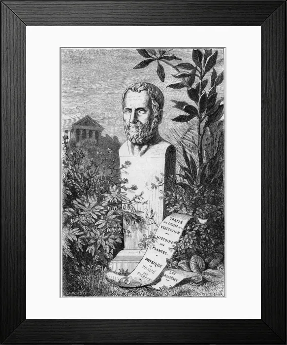 Framed Print : Theophrastus, Ancient Greek philosopher and scientist, 1866 Framed Print : Theophrastus, Ancient Greek philosopher and scientist, 1866