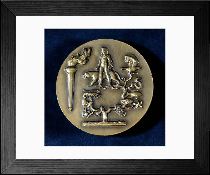 Framed Print : Medal commemorating Jean Baptiste de Monet, Chevalier de Lamarck, French biologist, 20th century Framed Print : Medal commemorating Jean Baptiste de Monet, Chevalier de Lamarck, French biologist, 20th century