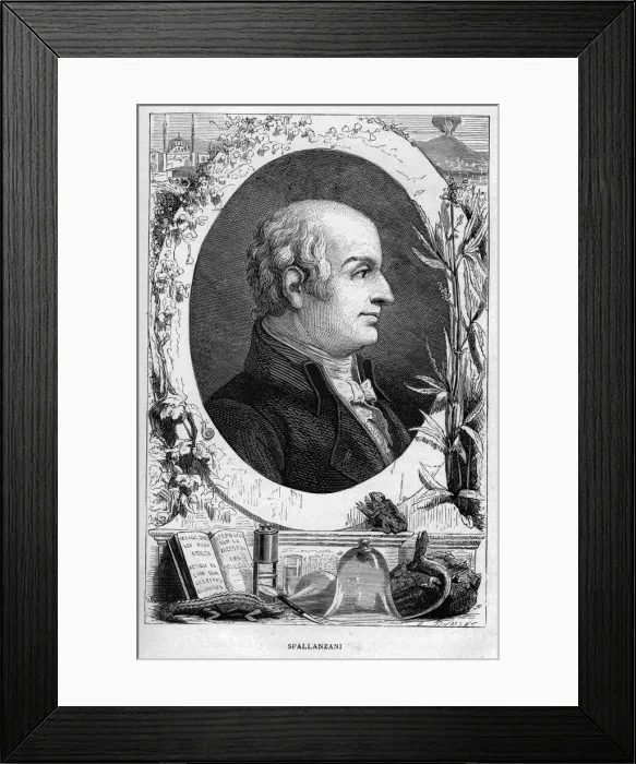 Framed Print : Lazzaro Spallanzani, Italian biologist, 1874