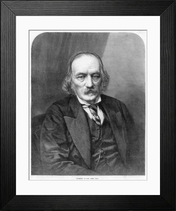 Framed Print : Richard Owen, English anatomist and paleontologist, 1872 Framed Print : Richard Owen, English anatomist and paleontologist, 1872