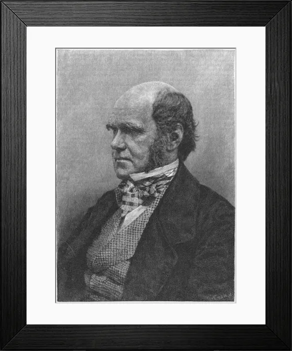 Framed Print : Charles Darwin, English naturalist, 1884 Framed Print : Charles Darwin, English naturalist, 1884