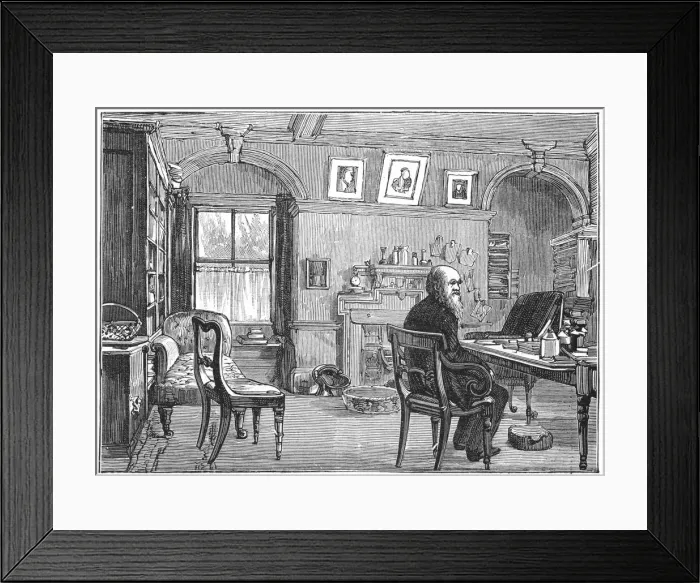 Framed Print : Charles Darwin, English naturalist, in his study, c1870 (1887) Framed Print : Charles Darwin, English naturalist, in his study, c1870 (1887)