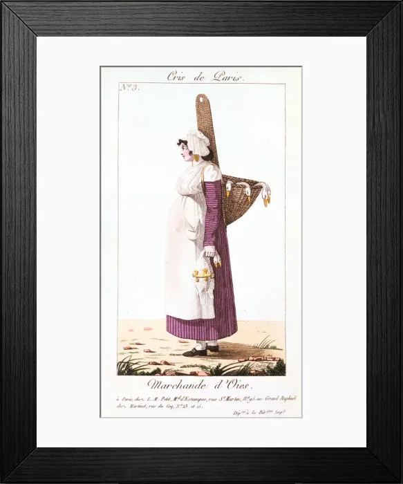 Framed Print : The Goose Seller, 1826 Framed Print : The Goose Seller, 1826