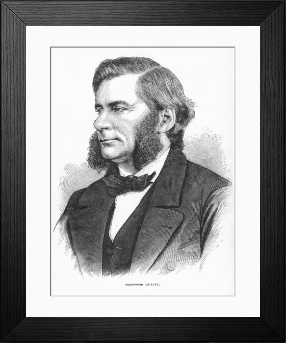 Framed Print : Thomas Henry Huxley, British biologist, c1860s Framed Print : Thomas Henry Huxley, British biologist, c1860s