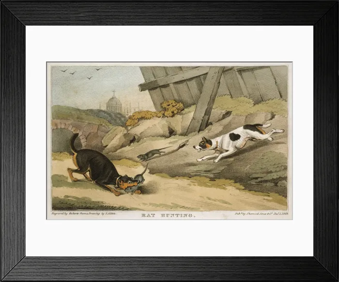 Framed Print : Rat Hunting, 1823 Framed Print : Rat Hunting, 1823