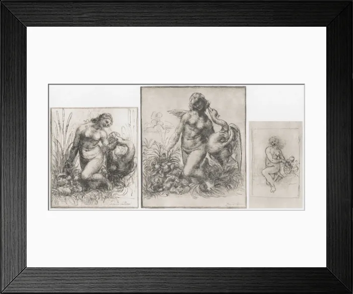 Framed Print : Leda and the Swan, c1504-1506. Artist: Leonardo da Vinci Framed Print : Leda and the Swan, c1504-1506. Artist: Leonardo da Vinci