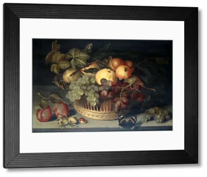 Framed Print : Basket of Fruit and Admiral Butterfly on Stone Table, 1610. Artist: Joannes Busschaert Framed Print : Basket of Fruit and Admiral Butterfly on Stone Table, 1610. Artist: Joannes Busschaert