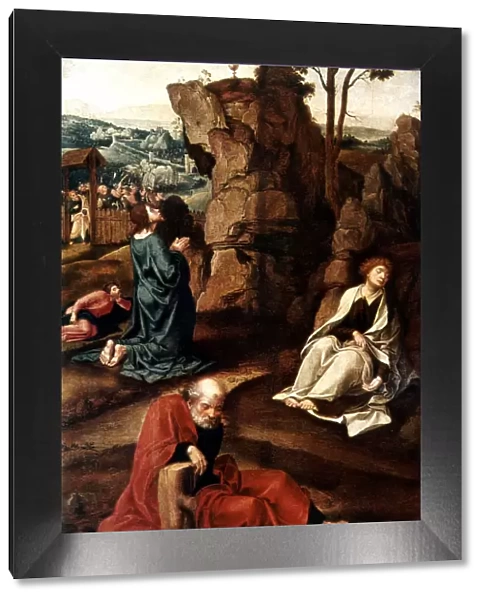 Jesus on the Mount of Olives, 16th century. Artist: Pieter Coecke van Aelst