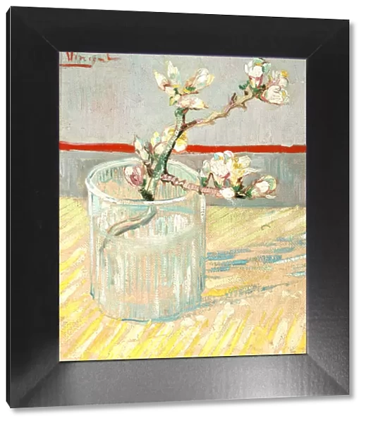 Sprig of Flowering Almond Blossom in a Glass, 1888. Artist: Vincent van Gogh