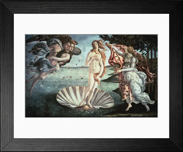 Framed Print : The Birth of Venus, c1482. Artist: Sandro Botticelli Framed Print : The Birth of Venus, c1482. Artist: Sandro Botticelli