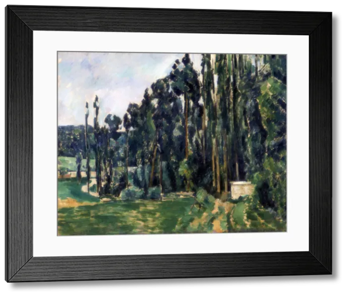 Framed Print : The Poplars, c1879-1882. Artist: Paul Cezanne Framed Print : The Poplars, c1879-1882. Artist: Paul Cezanne