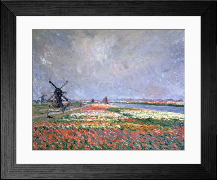 Framed Print : Tulip fields near Leiden, 1886. Artist: Claude Monet Framed Print : Tulip fields near Leiden, 1886. Artist: Claude Monet