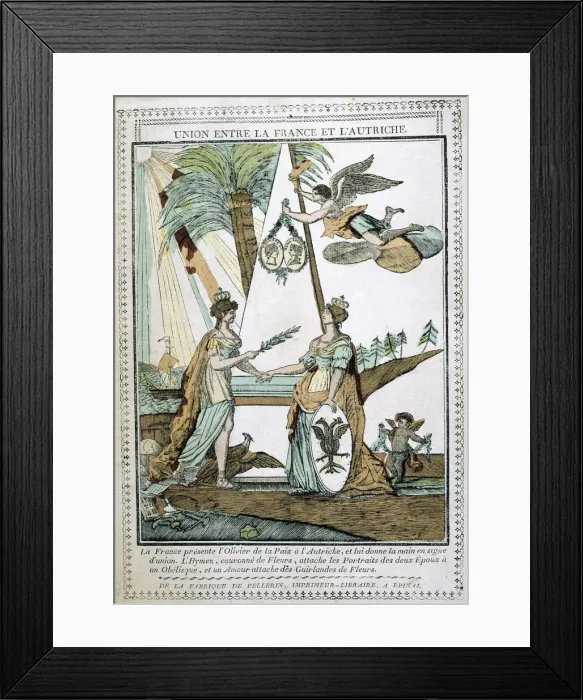Framed Print : The Union between France and Austria, 19th century Framed Print : The Union between France and Austria, 19th century