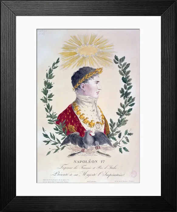 Framed Print : Napoleon 1st, 19th century Framed Print : Napoleon 1st, 19th century