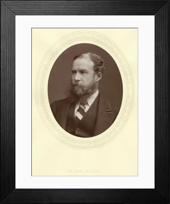 Framed Print : John Lubbock, first Baron Avebury, English banker, archaeologist, naturalist and politician, c1880 Framed Print : John Lubbock, first Baron Avebury, English banker, archaeologist, naturalist and politician, c1880