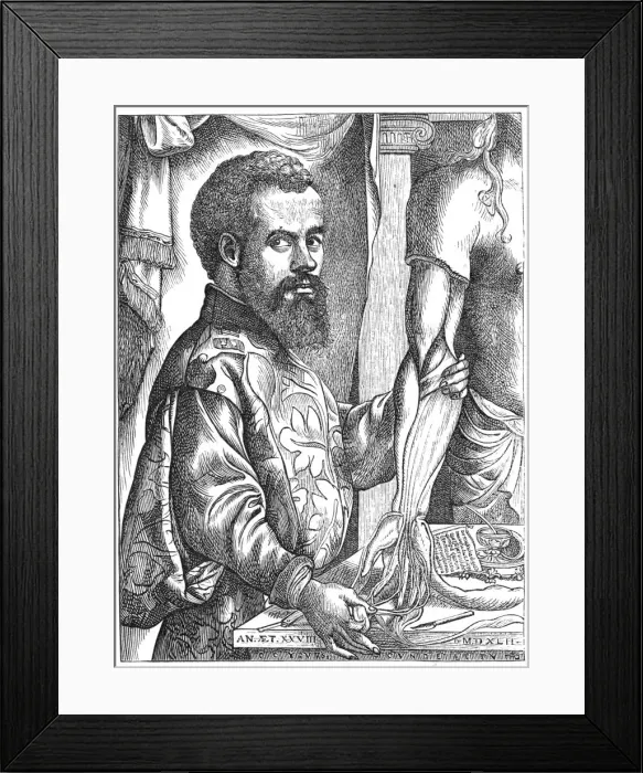 Framed Print : Andreas Vesalius, 16th century Flemish anatomist Framed Print : Andreas Vesalius, 16th century Flemish anatomist