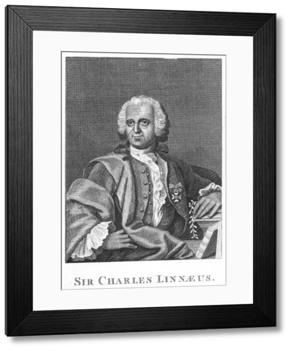 Framed Print : Carolus Linnaeus, 18th century Swedish naturalist Framed Print : Carolus Linnaeus, 18th century Swedish naturalist