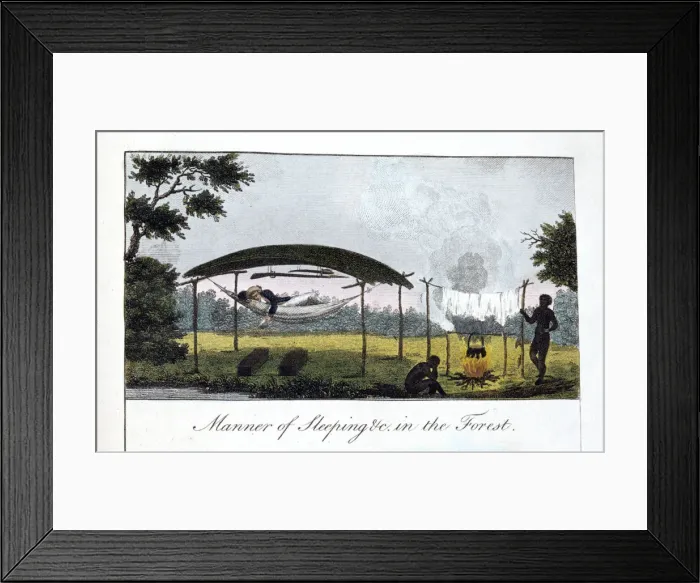 Framed Print : Manner of Sleeping in the Forest, 1813. Artist: John Gabriel Stedman Framed Print : Manner of Sleeping in the Forest, 1813. Artist: John Gabriel Stedman