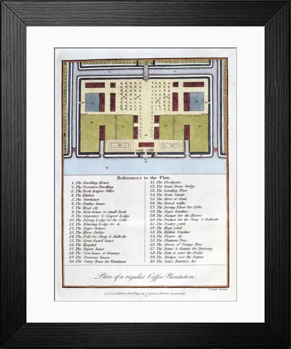 Framed Print : Plan of a Regular Coffee Plantation, 1813. Artist: John Gabriel Stedman Framed Print : Plan of a Regular Coffee Plantation, 1813. Artist: John Gabriel Stedman