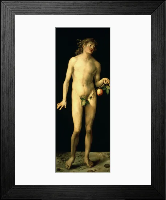Framed Print : Adam, 1507. Artist: Albrecht Durer Framed Print : Adam, 1507. Artist: Albrecht Durer