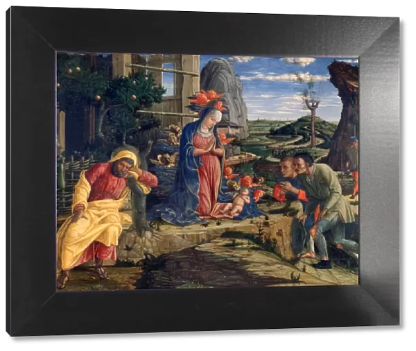 The Adoration of the Shepherds, c1450. Artist: Andrea Mantegna