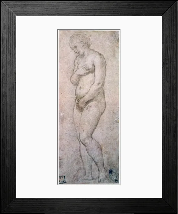 Framed Print : Study of Venus, c1500-1520. Artist: Raphael Framed Print : Study of Venus, c1500-1520. Artist: Raphael