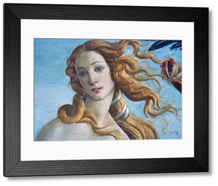 Framed Print : The Birth of Venus (detail), c1485. Artist: Sandro Botticelli Framed Print : The Birth of Venus (detail), c1485. Artist: Sandro Botticelli