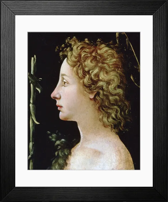 Framed Print : The Young Saint John the Baptist, c1482-1522. Artist: Piero di Cosimo Framed Print : The Young Saint John the Baptist, c1482-1522. Artist: Piero di Cosimo