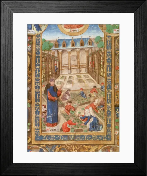 Framed Print : Pharmaceutical garden, 15th century Framed Print : Pharmaceutical garden, 15th century
