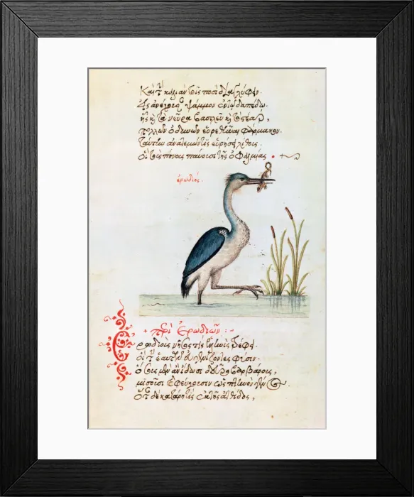 Framed Print : The Heron, 1564 Framed Print : The Heron, 1564