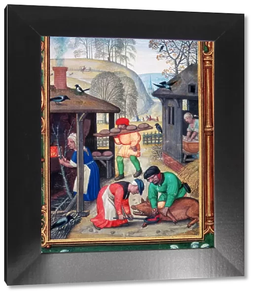 December, slaughtering the pig, 1520. Artist: Gerhard Hoornbach