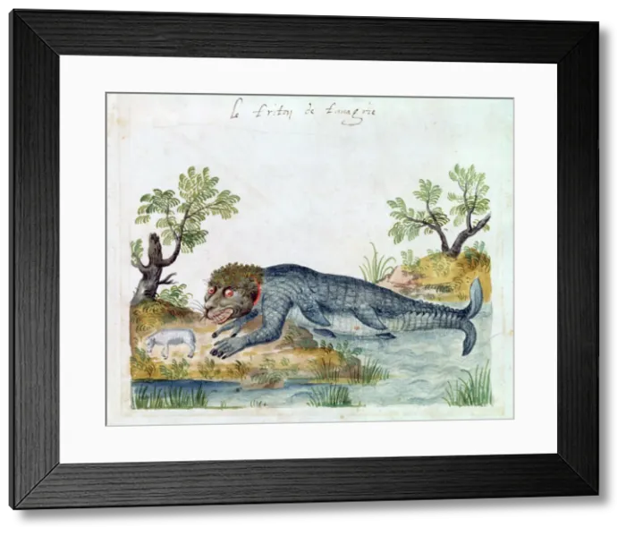 Framed Print : Triton, 16th century Framed Print : Triton, 16th century