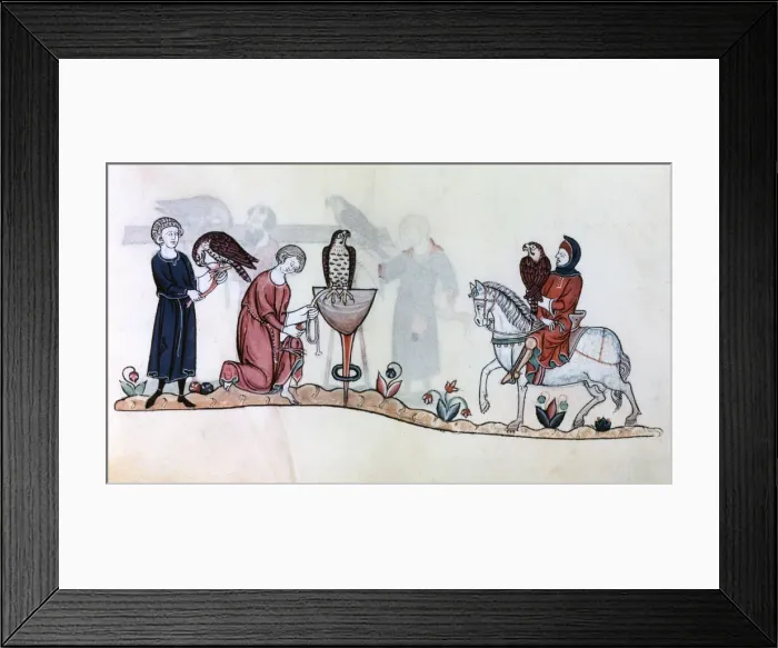 Framed Print : Falconers with their birds, 13th century Framed Print : Falconers with their birds, 13th century
